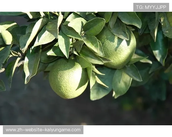 ¦ó+Í+--¦ã+¦+¦¦++Á--¢Íi+½+õã¸ú¦ÎÒÃ=i¢-§Á-+¦+¦¦¢-¸